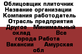 Облицовщик-плиточник › Название организации ­ Компания-работодатель › Отрасль предприятия ­ Другое › Минимальный оклад ­ 25 000 - Все города Работа » Вакансии   . Амурская обл.